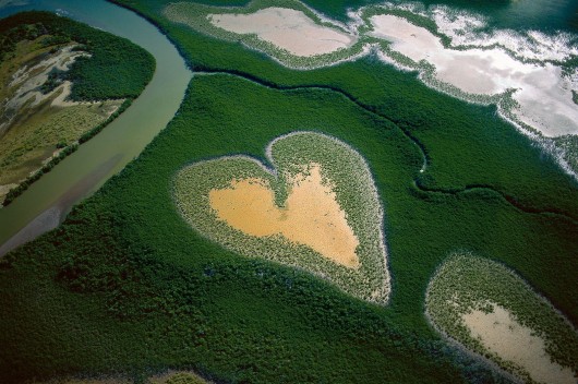 Ян Артюс-Бертран (Yann Arthus-Bertrand) - Earth from the Air