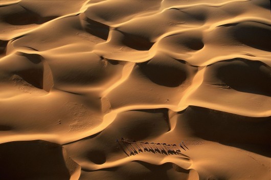 Ян Артюс-Бертран (Yann Arthus-Bertrand) - Earth from the Air