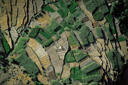 Ян Артюс-Бертран (Yann Arthus-Bertrand) - Earth from the Air