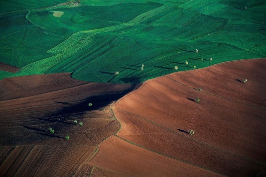 Ян Артюс-Бертран (Yann Arthus-Bertrand) - Earth from the Air