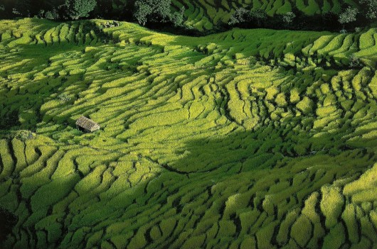 Ян Артюс-Бертран (Yann Arthus-Bertrand) - Earth from the Air