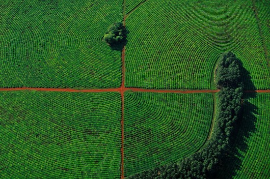 Ян Артюс-Бертран (Yann Arthus-Bertrand) - Earth from the Air