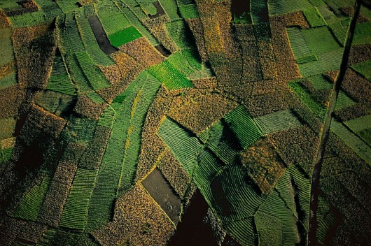 Ян Артюс-Бертран (Yann Arthus-Bertrand) - Earth from the Air