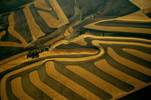 Ян Артюс-Бертран (Yann Arthus-Bertrand) - Earth from the Air