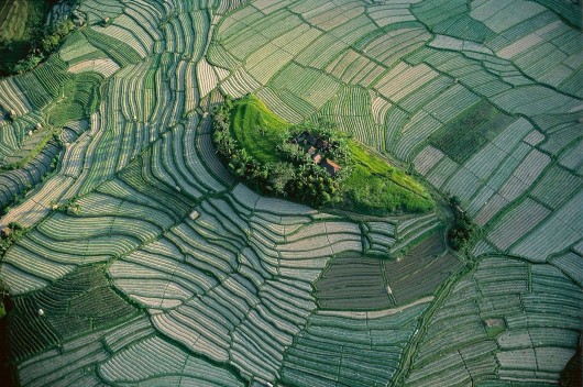 Ян Артюс-Бертран (Yann Arthus-Bertrand) - Earth from the Air