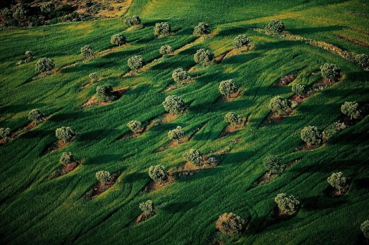 Ян Артюс-Бертран (Yann Arthus-Bertrand) - Earth from the Air