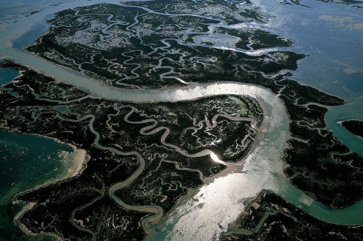 Ян Артюс-Бертран (Yann Arthus-Bertrand) - Earth from the Air