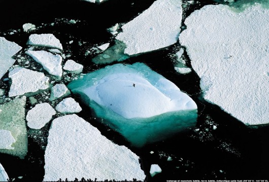 Ян Артюс-Бертран (Yann Arthus-Bertrand) - Earth from the Air