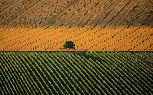 Ян Артюс-Бертран (Yann Arthus-Bertrand) - Earth from the Air