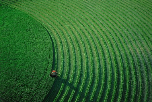 Ян Артюс-Бертран (Yann Arthus-Bertrand) - Earth from the Air