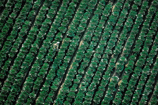 Ян Артюс-Бертран (Yann Arthus-Bertrand) - Earth from the Air