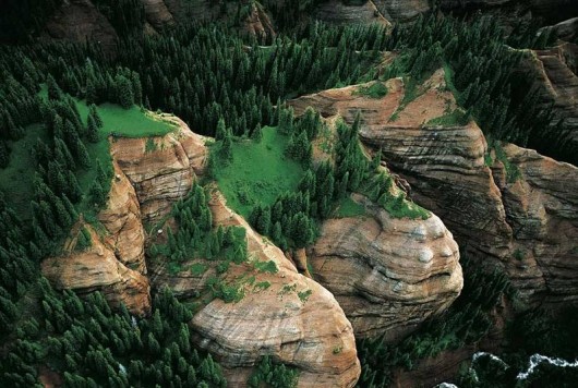 Ян Артюс-Бертран (Yann Arthus-Bertrand) - Earth from the Air