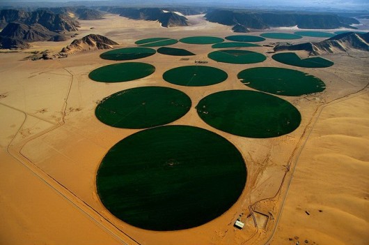 Ян Артюс-Бертран (Yann Arthus-Bertrand) - Earth from the Air