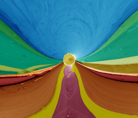 e_microscope_image_00