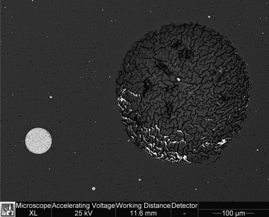 e_microscope_image_03