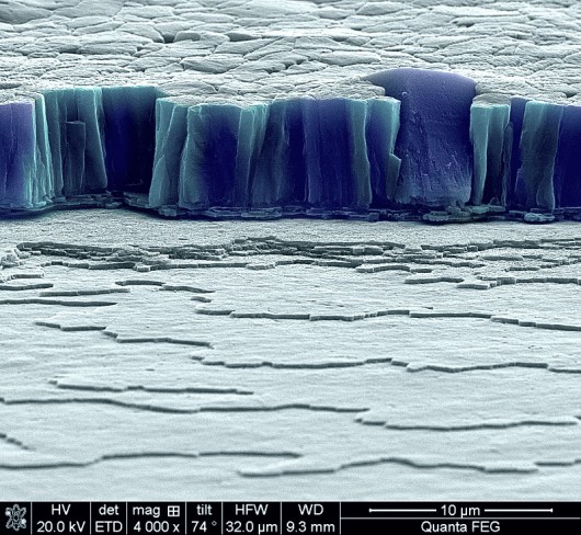 e_microscope_image_05