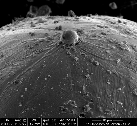 e_microscope_image_07