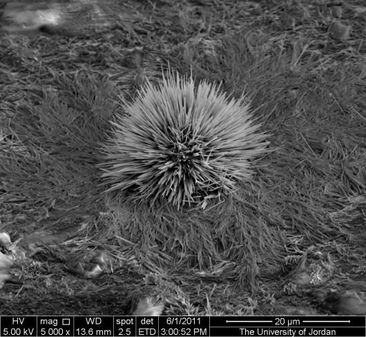 e_microscope_image_09