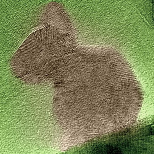 e_microscope_image_12