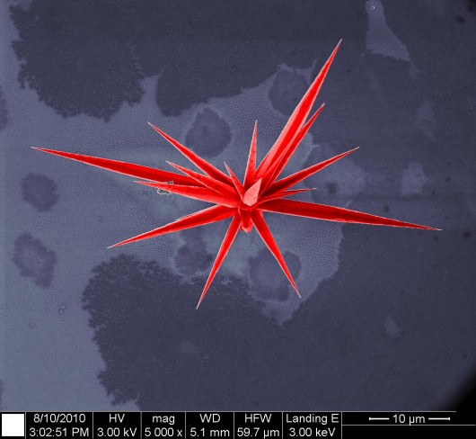 e_microscope_image_14