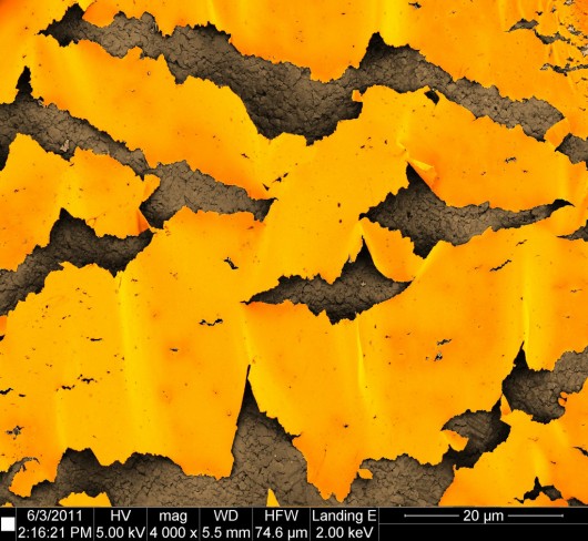 e_microscope_image_16