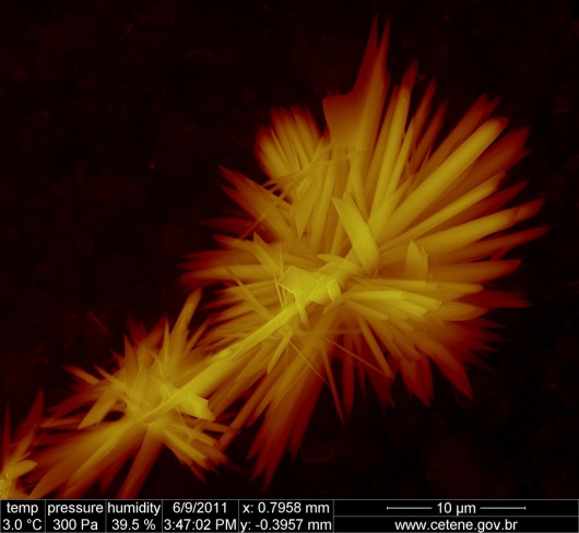 e_microscope_image_21