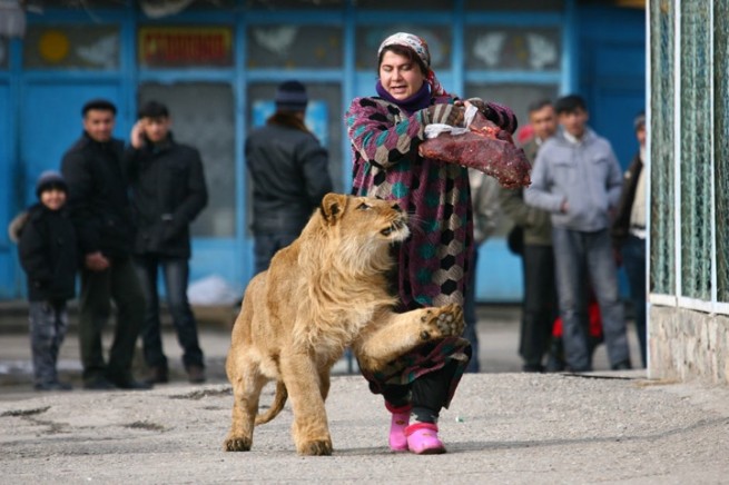 reuters2011100bestphotos18