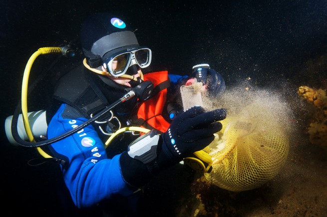 alexander-semenov-underwater-world-01