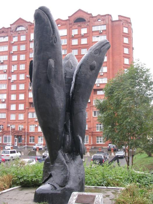 whales
