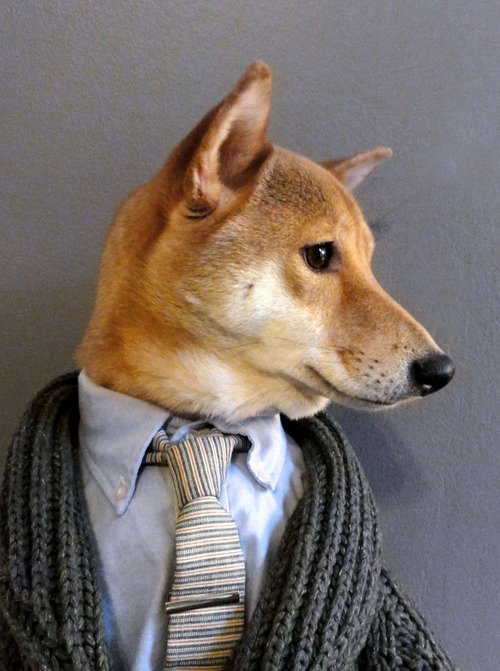 doggy