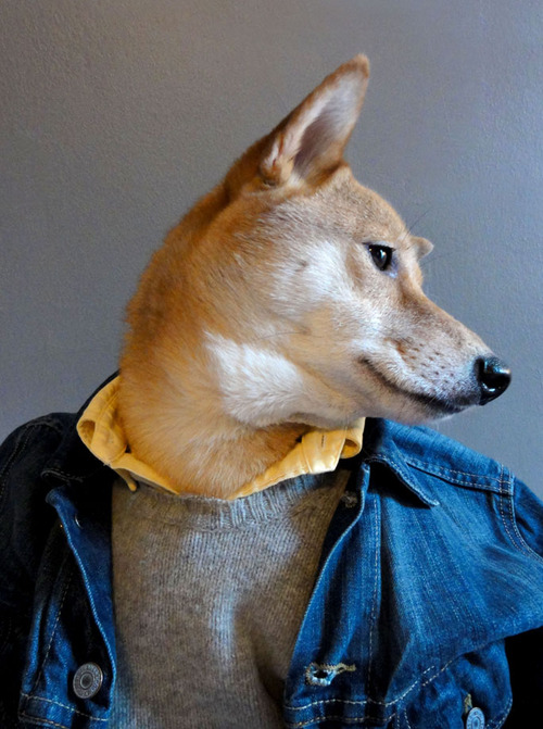 doggy2